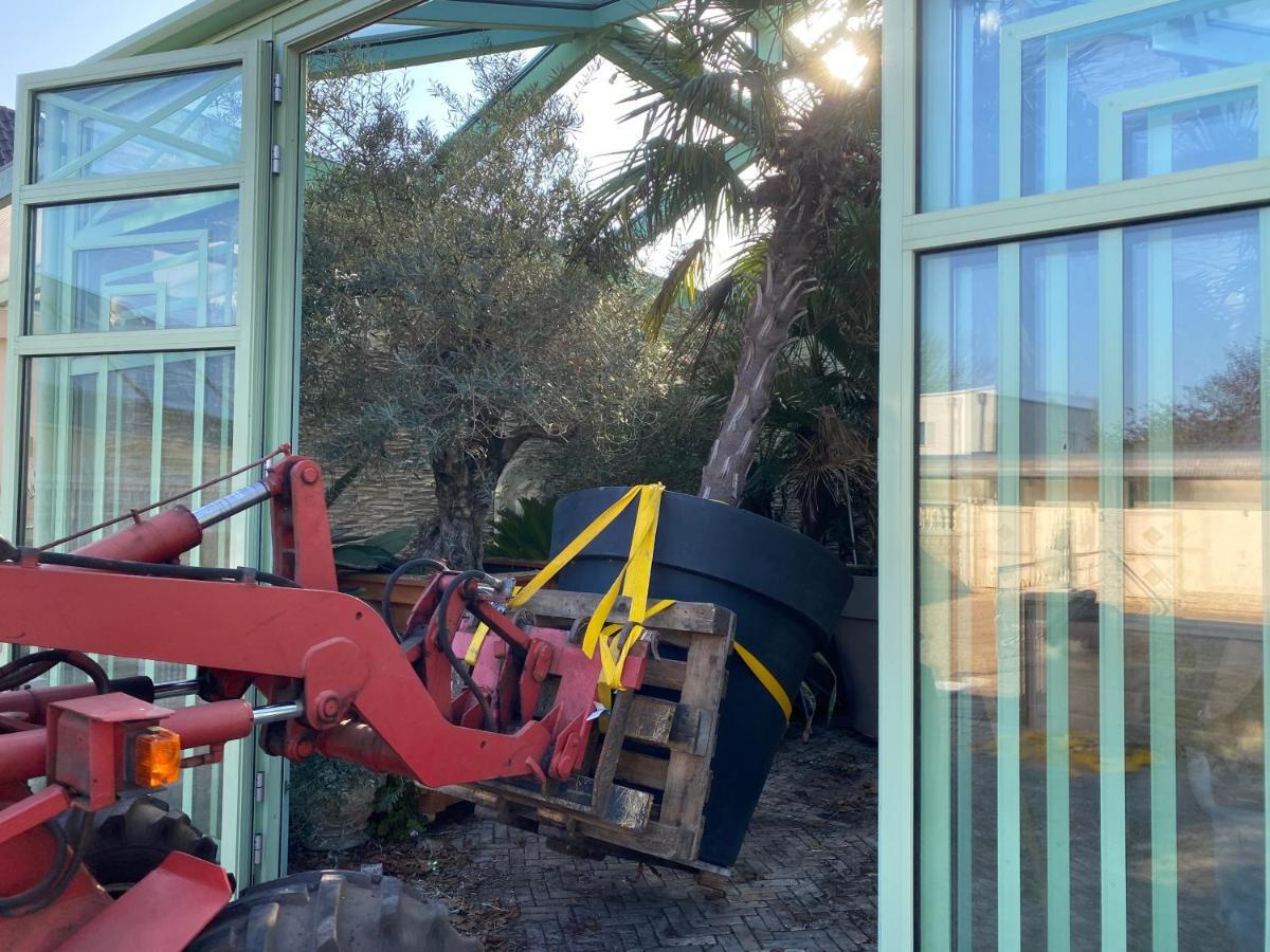 Wilsmann Apartmentvermietung Maison d'hôtes Hövelhof