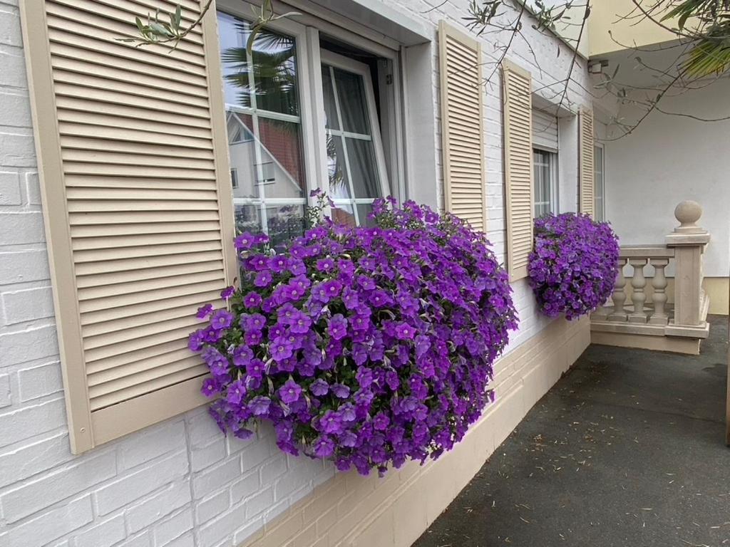 Maison d'hôtes Wilsmann Apartmentvermietung 3*