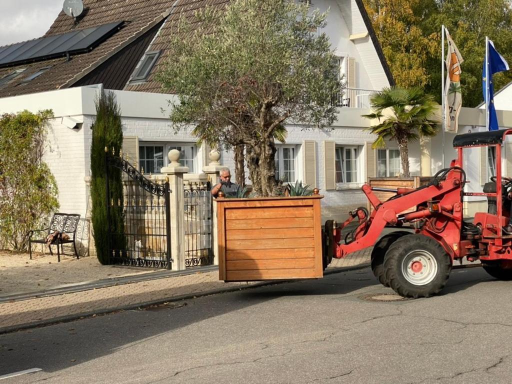 Maison d'hôtes Wilsmann Apartmentvermietung 3*